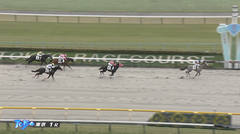 【土曜東京1R】A.プーシャン初勝利ｷﾀ━━━━(ﾟ∀ﾟ)━━━━!!