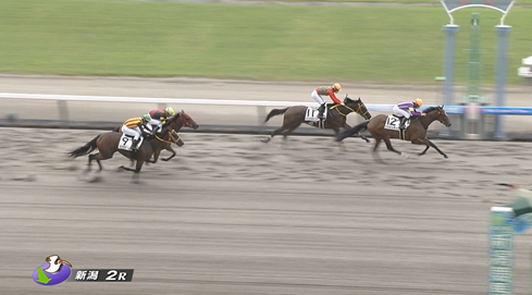【土曜新潟2R新馬戦】ミカミッチー＆横山典弘騎手がｷﾀ━━━━(ﾟ∀ﾟ)━━━━!!