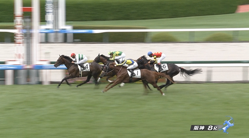【土曜阪神8R】アクセス＆岩田望来騎手がｷﾀ━━━━(ﾟ∀ﾟ)━━━━!!